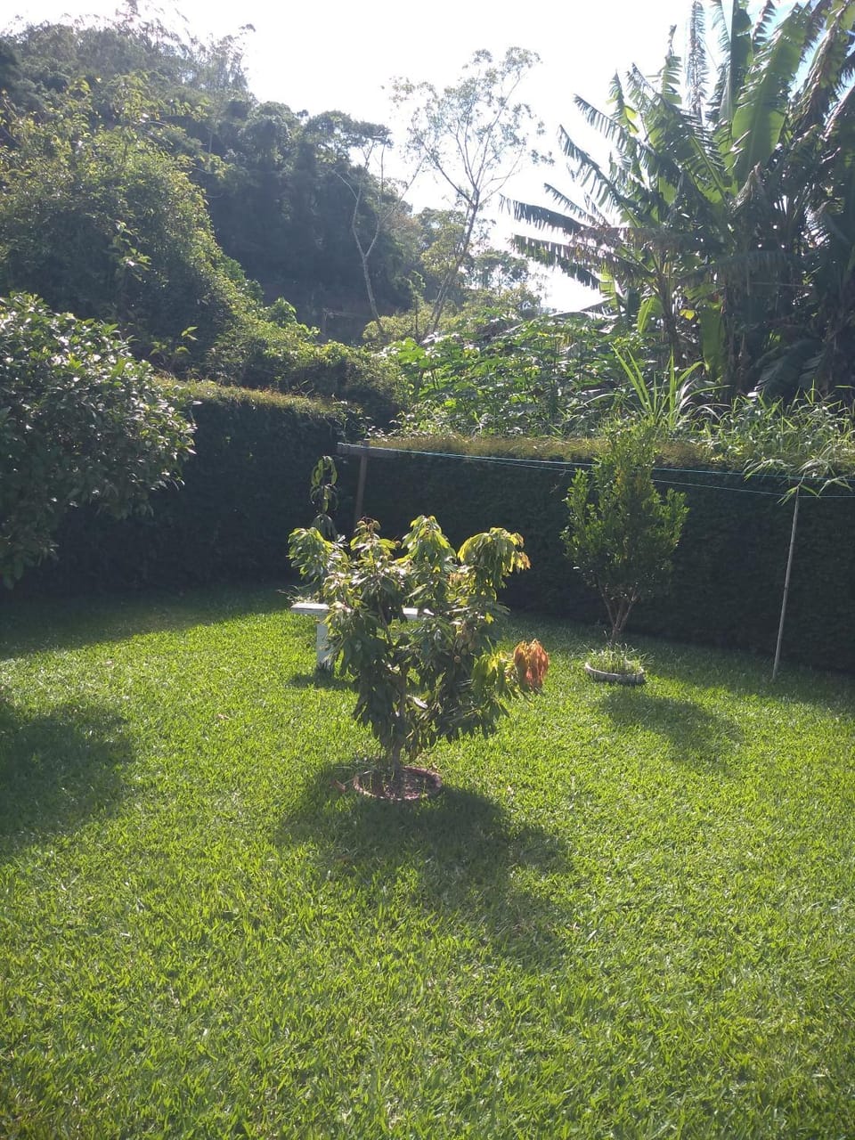 Casa aconchego da serra House in State of Rio de Janeiro