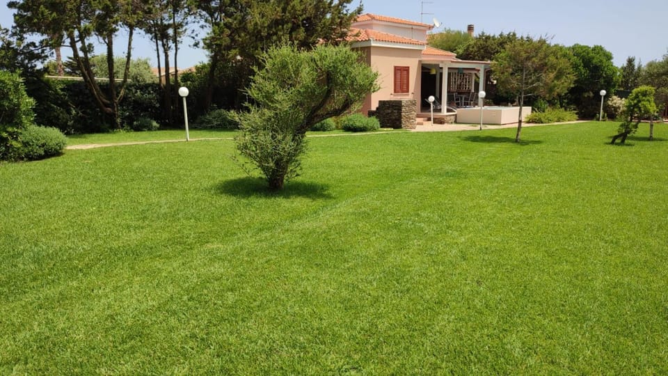 Garden, Garden