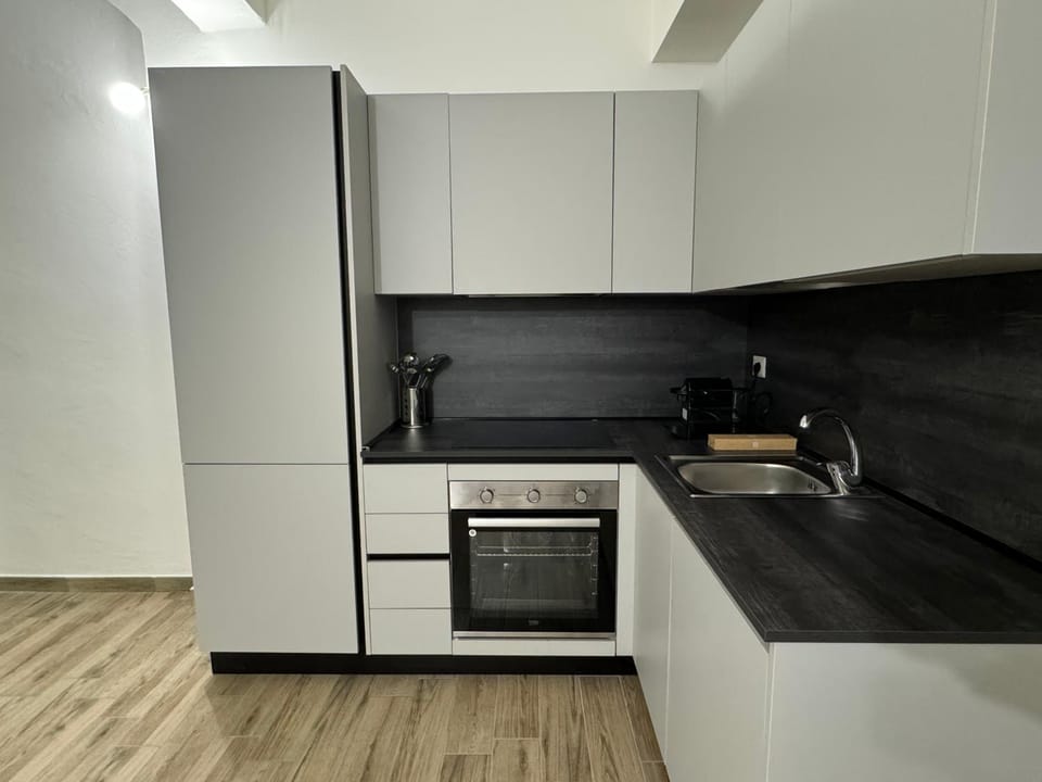 Kitchen or kitchenette, dishwasher, minibar, pet friendly, stove