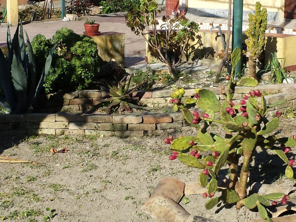 Garden, Garden view