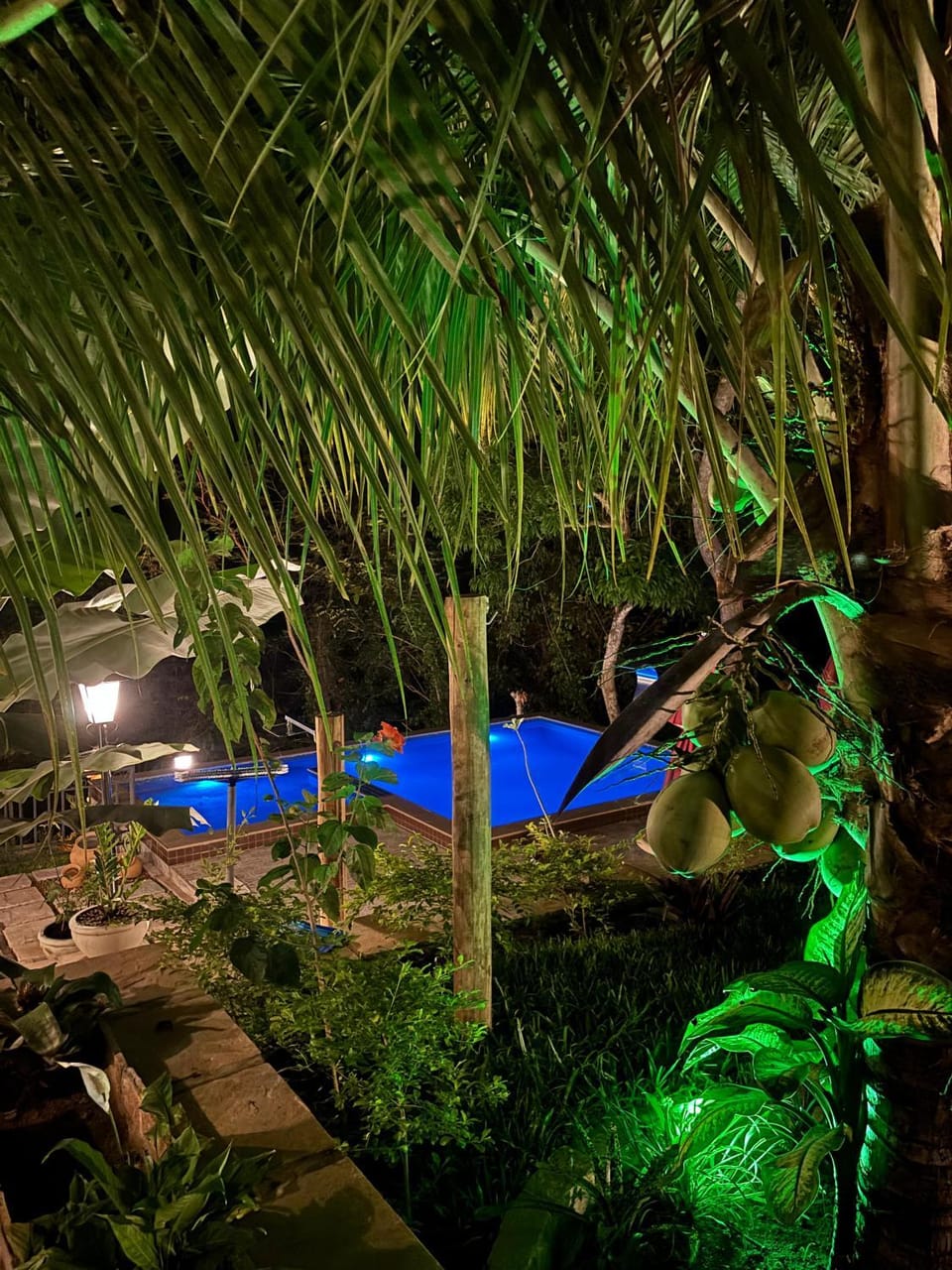 Night, Garden view, Pool view