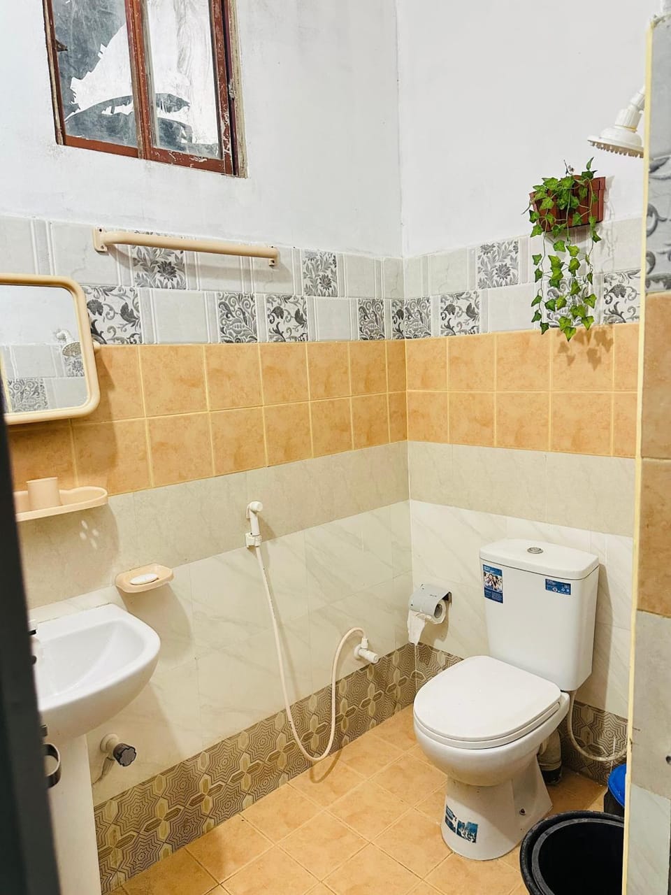 Toilet, Bathroom, bidet