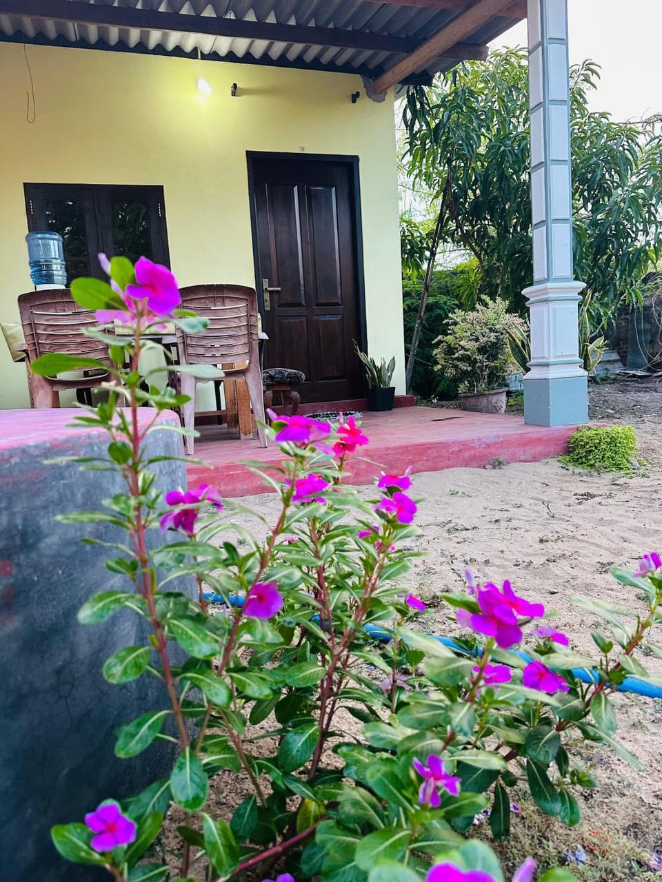 Property building, Garden view