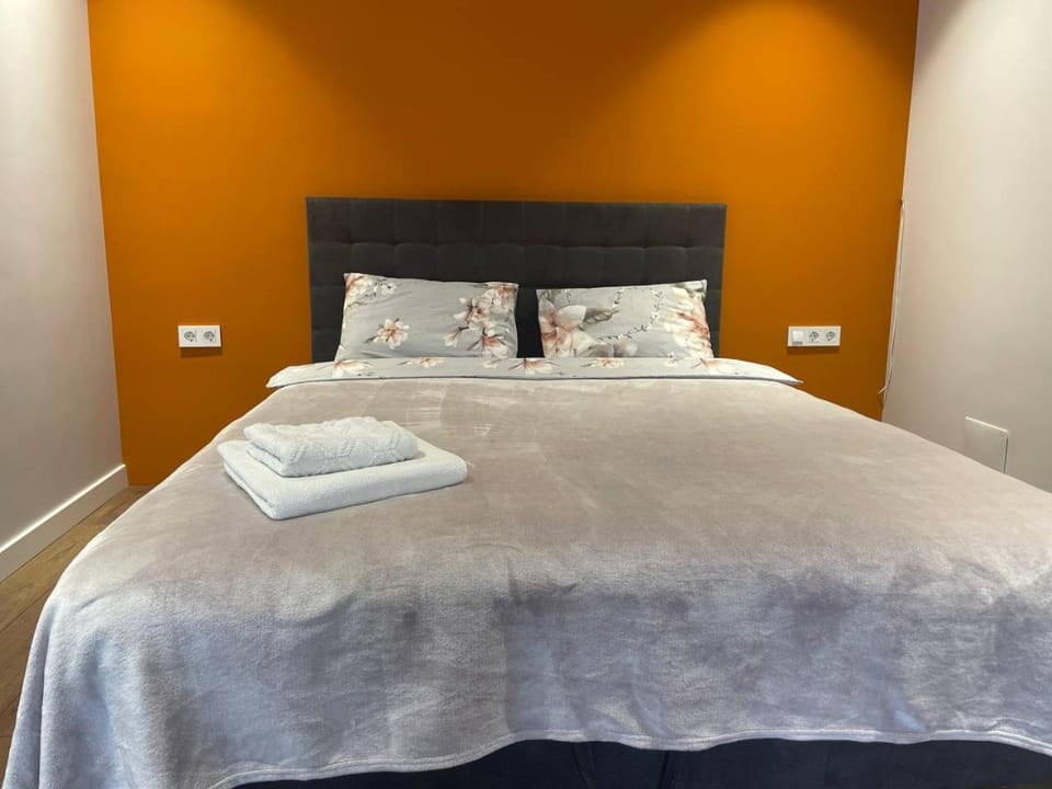 Apartament cu o cameră Apartment in Chișinău