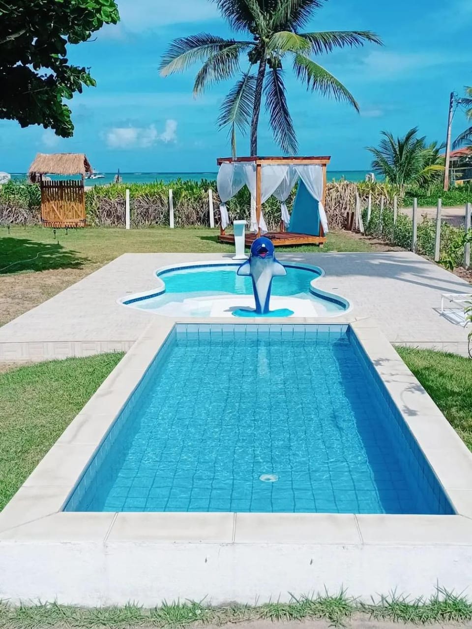 Day, Natural landscape, Pool view, Swimming pool