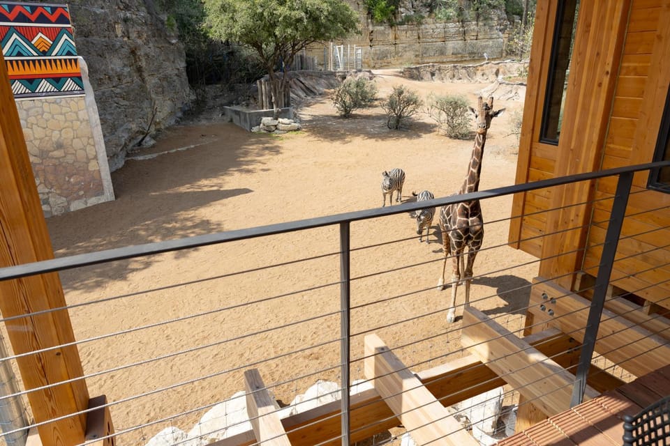Patio, View (from property/room), Balcony/Terrace