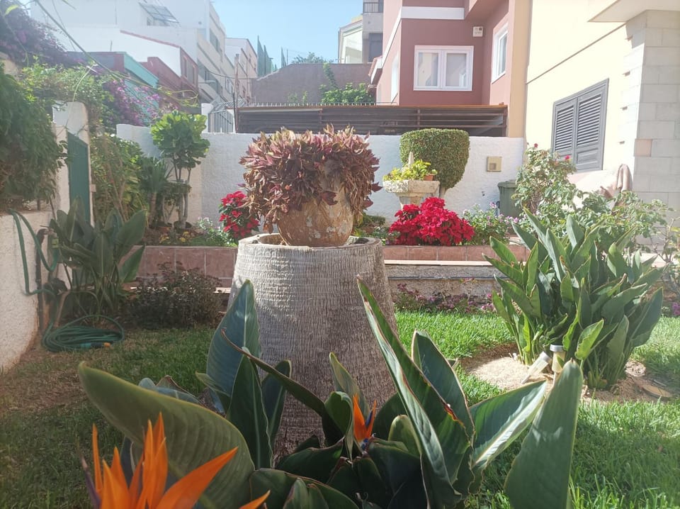 Property building, Garden, Garden view