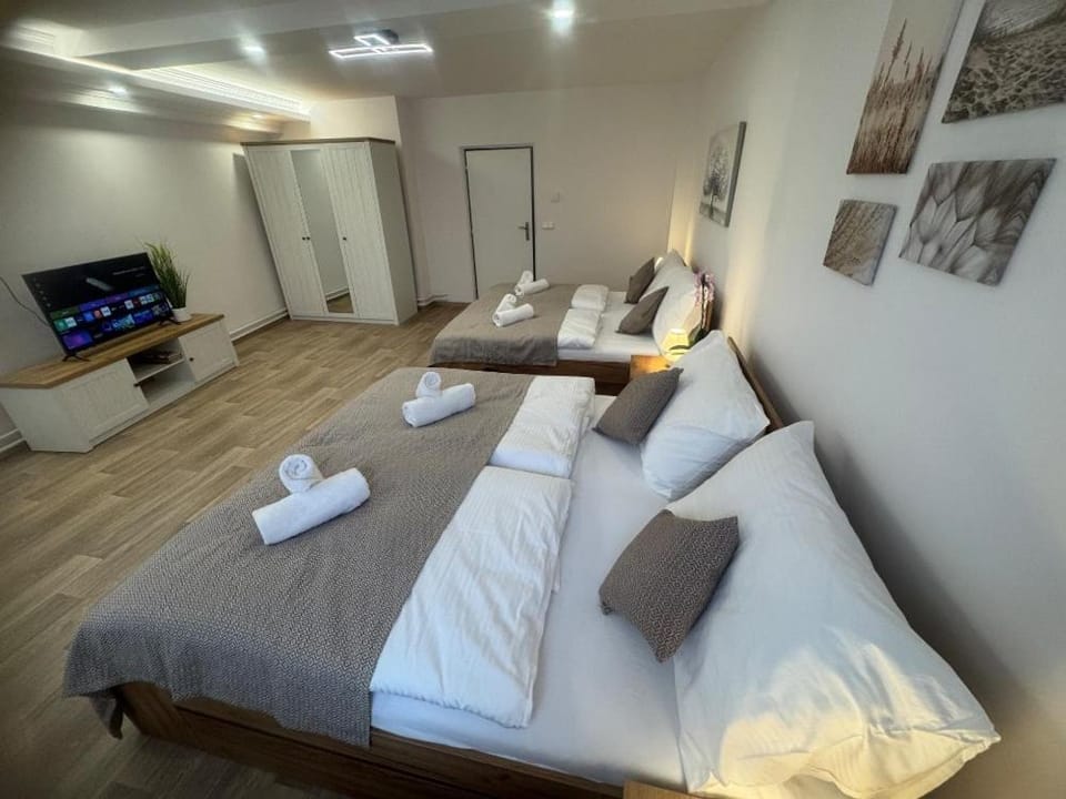 Magnet Apartment Apartment in Saxony