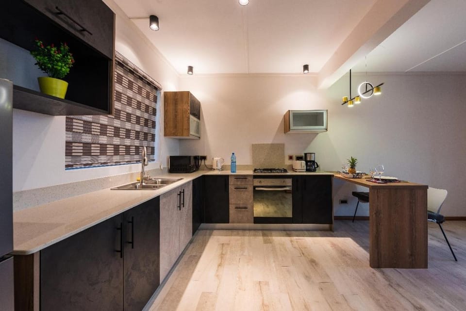 Kitchen or kitchenette, minibar, oven, stove