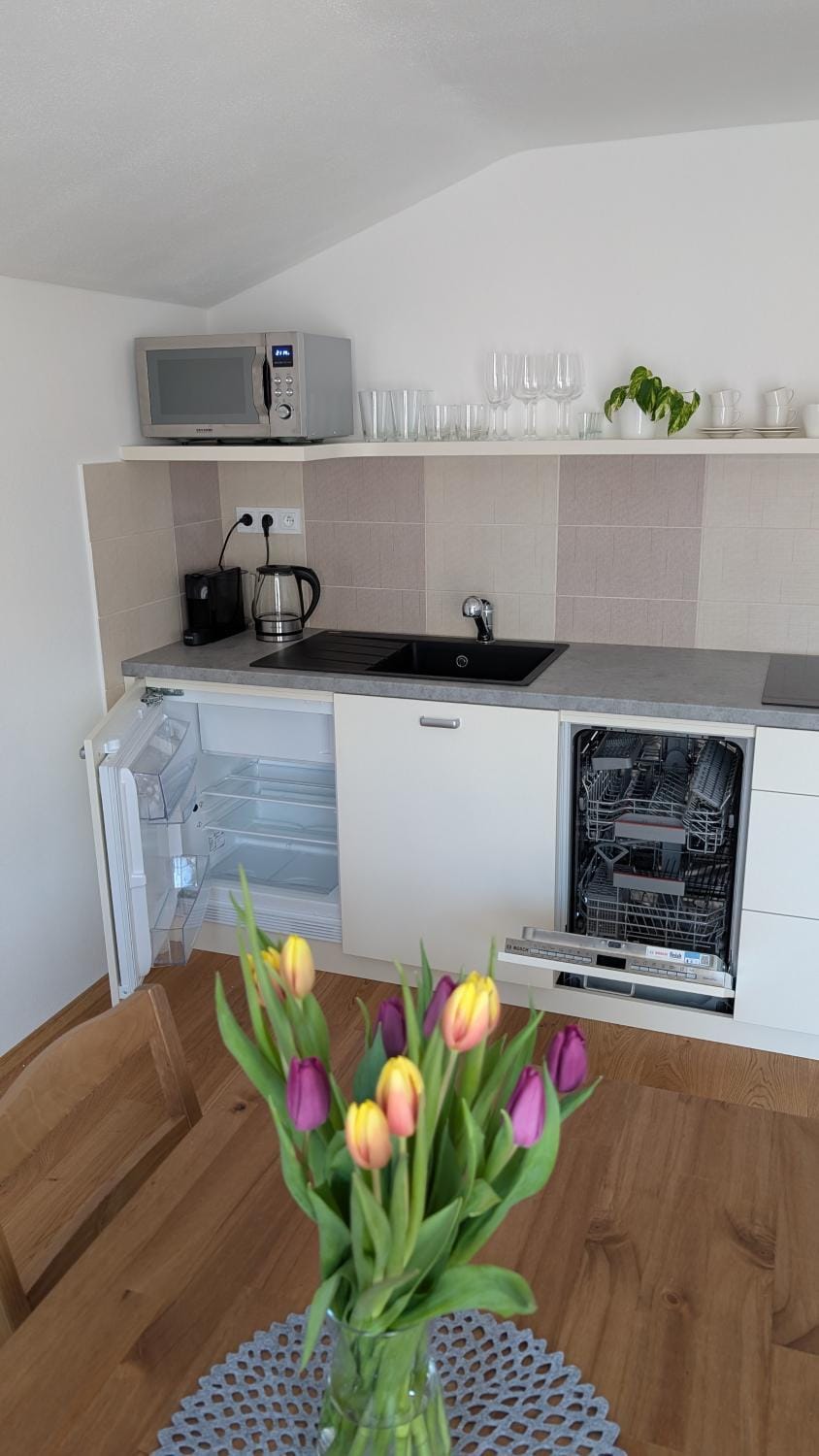 Kitchen or kitchenette, dishwasher, microwave, stove