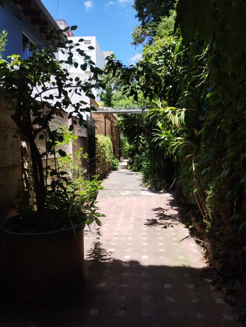 Garden view