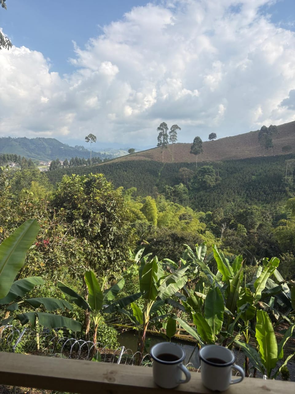 Day, Natural landscape, Mountain view