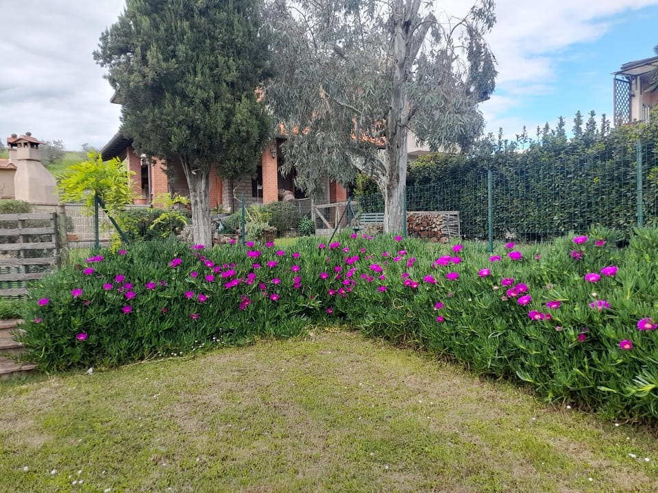 Agriturismo Santa Adriana Bed and Breakfast in Tuscany