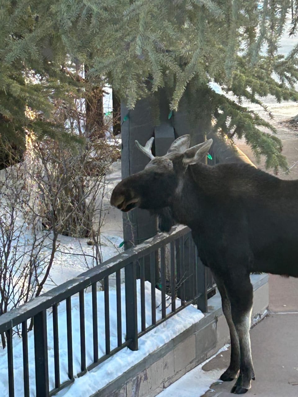 Key Condo 2934A by SummitCove Lodging in Colorado House in Keystone