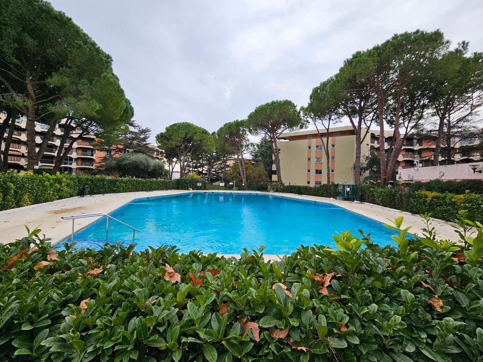 Natural landscape, Garden, Garden view, Pool view, Swimming pool, Swimming pool