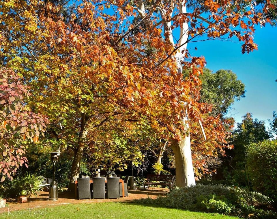 The Hideaway at Gooseberry Hill Apartment in Perth