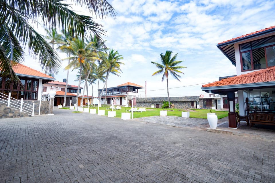 Property building, Garden, Garden view