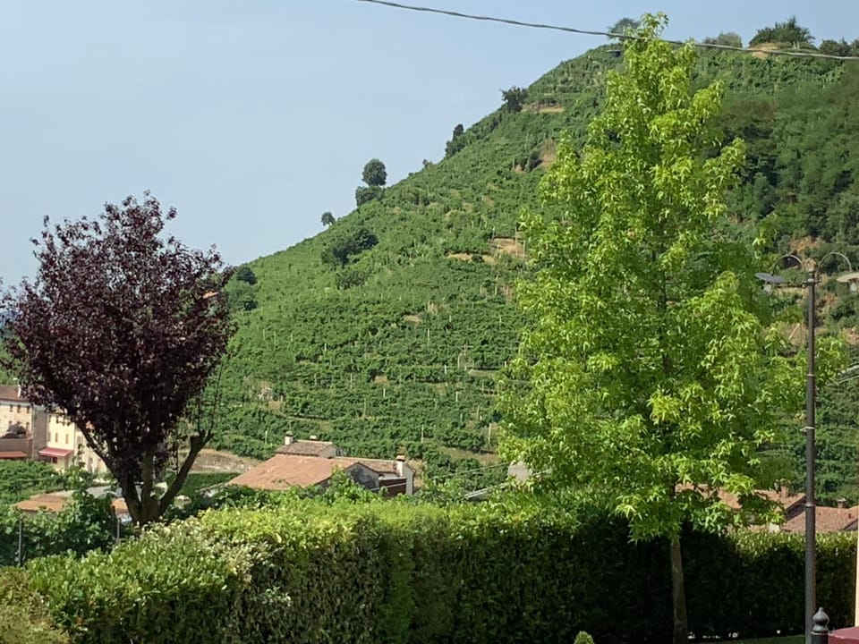 Day, Natural landscape, Summer