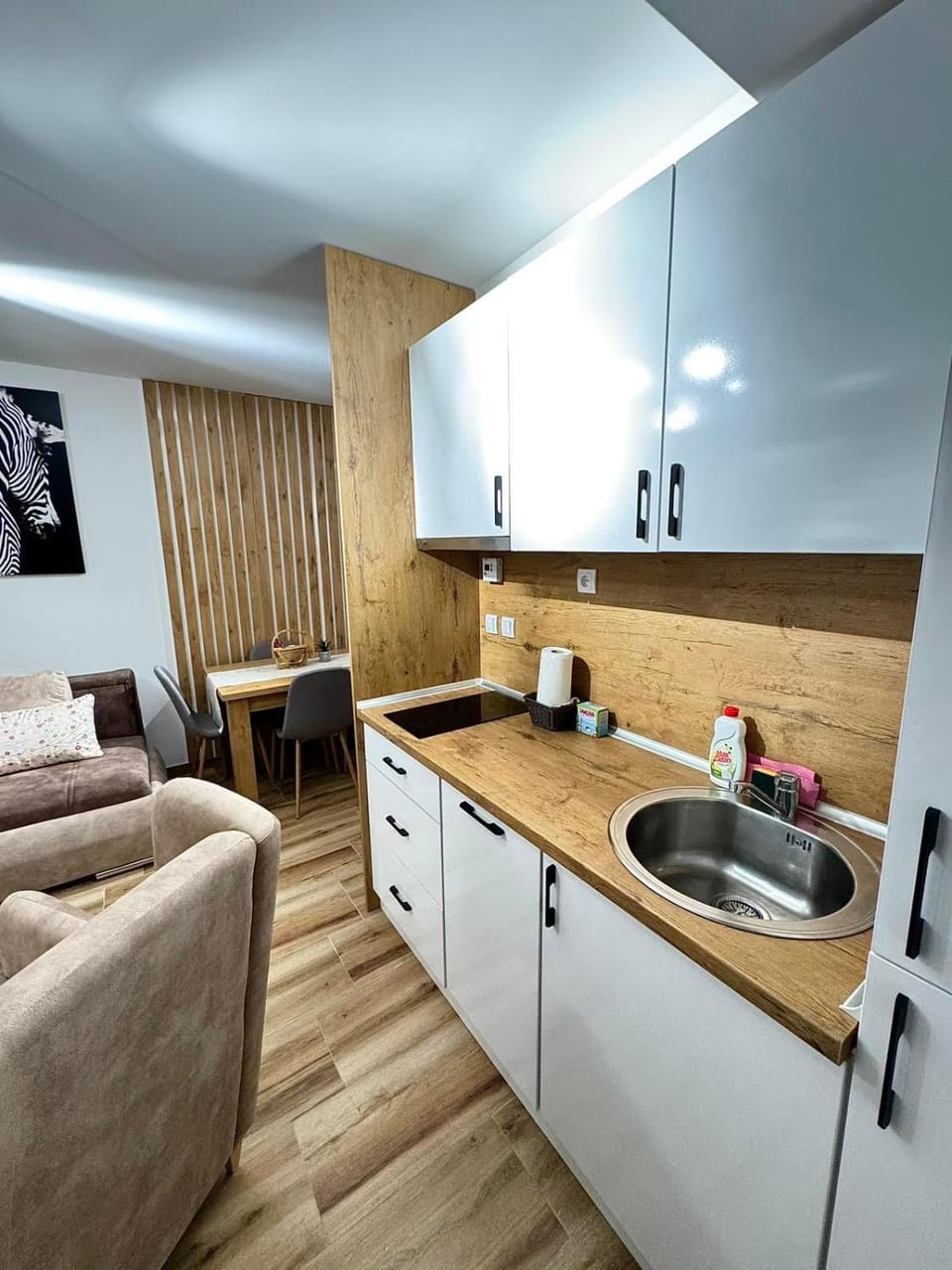Hillbilly 6 Apartment in Bosnia and Herzegovina