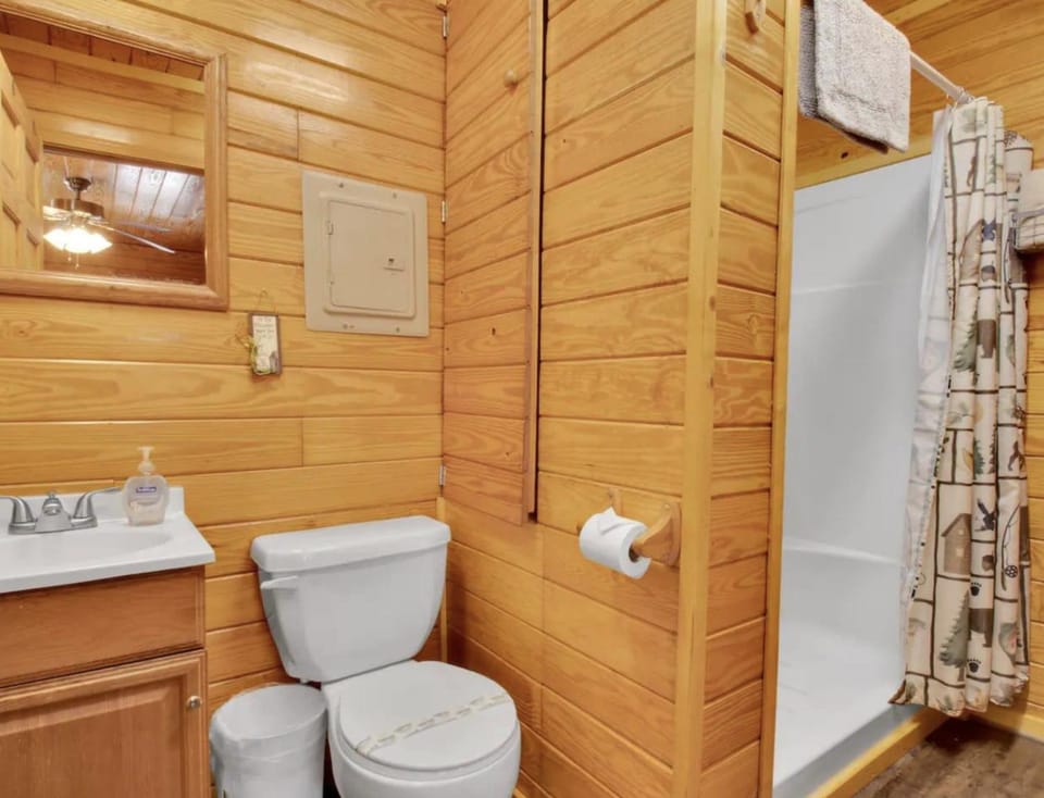 Shower, Toilet, Bathroom, towels