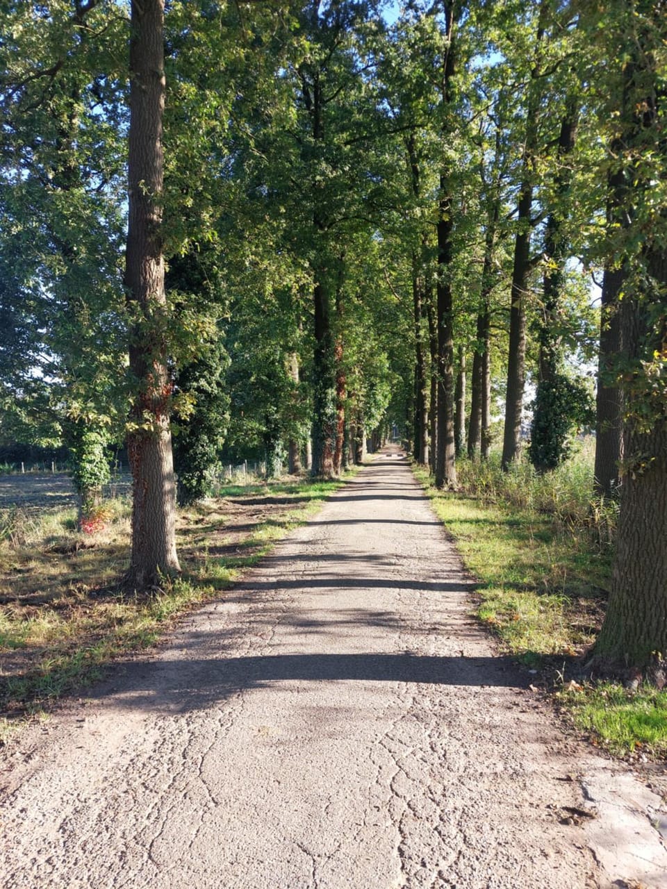 Natural landscape