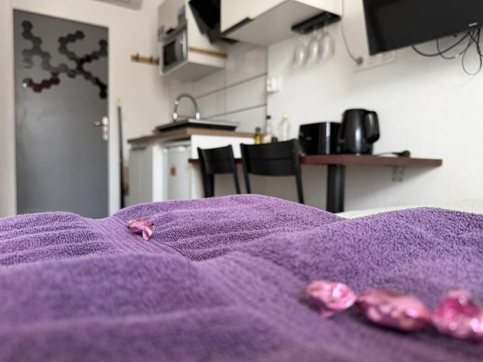 Studio cosy rénové en 2023 Garage Apartment in Tours