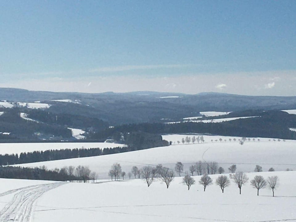 Natural landscape, Winter