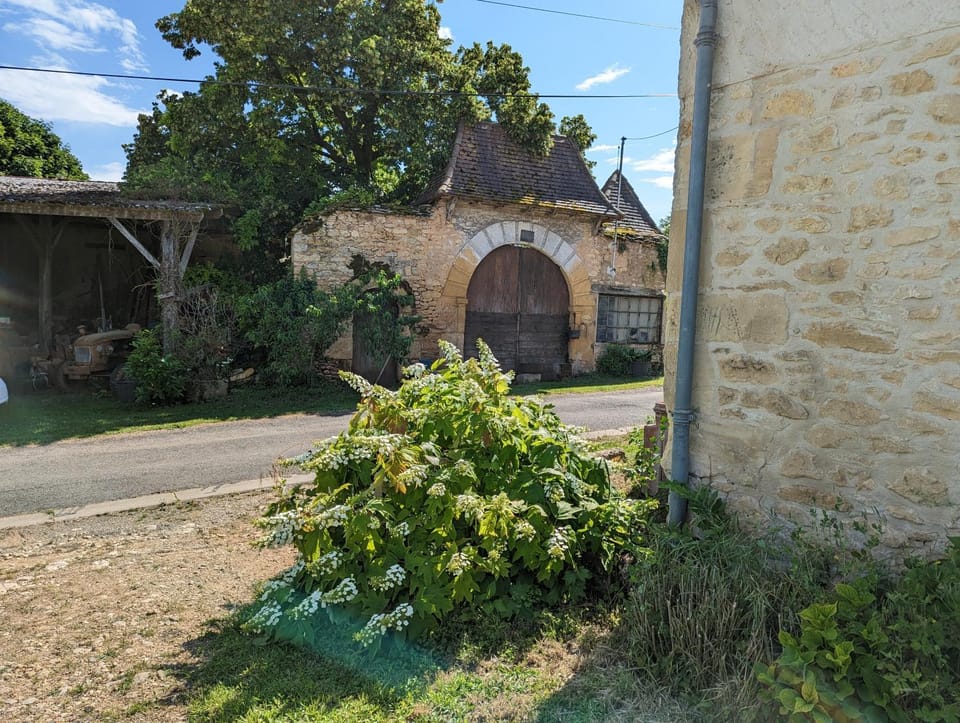 Landmark view