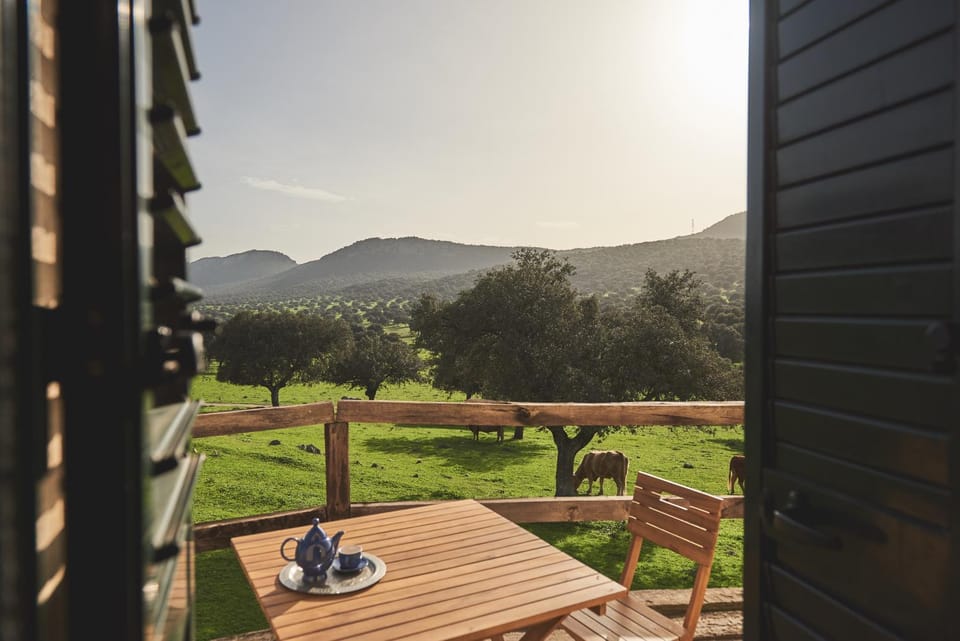 Patio, Spring, Day, Natural landscape, View (from property/room), Balcony/Terrace, Dining area, Mountain view