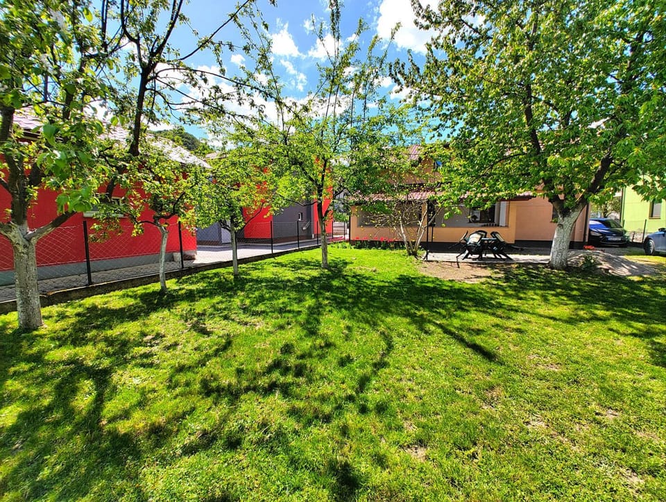 Property building, Spring, Day, Neighbourhood, Natural landscape, Garden, Garden view, Street view, Parking