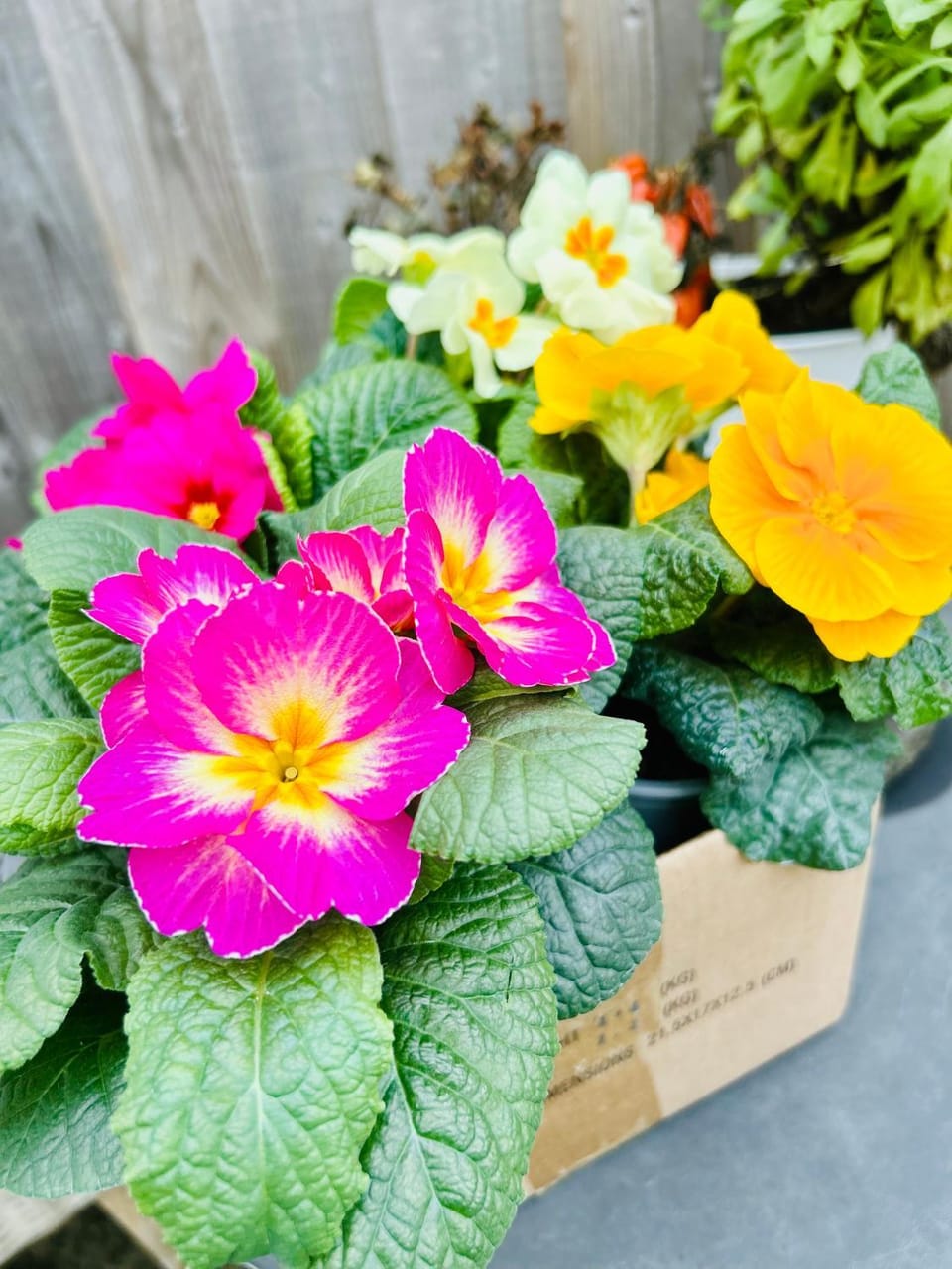 Arden House Bed and Breakfast in Arundel