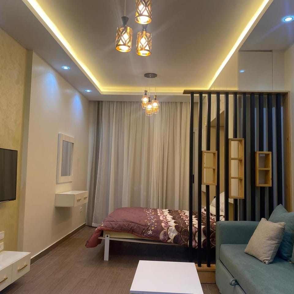 Bed, TV and multimedia, Living room, Photo of the whole room, Seating area, Bedroom
