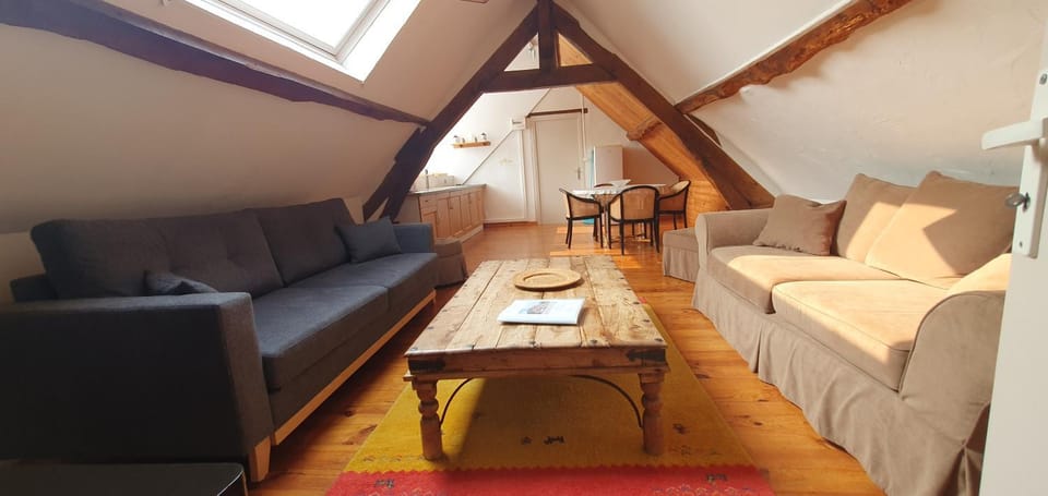 Le Coeur Du Moulin Apartment in Centre-Val de Loire