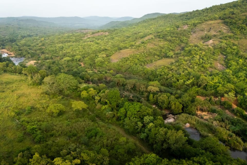 Natural landscape, Bird's eye view, River view