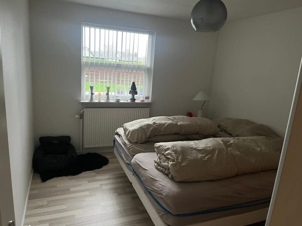 Ease and peace House in Zealand