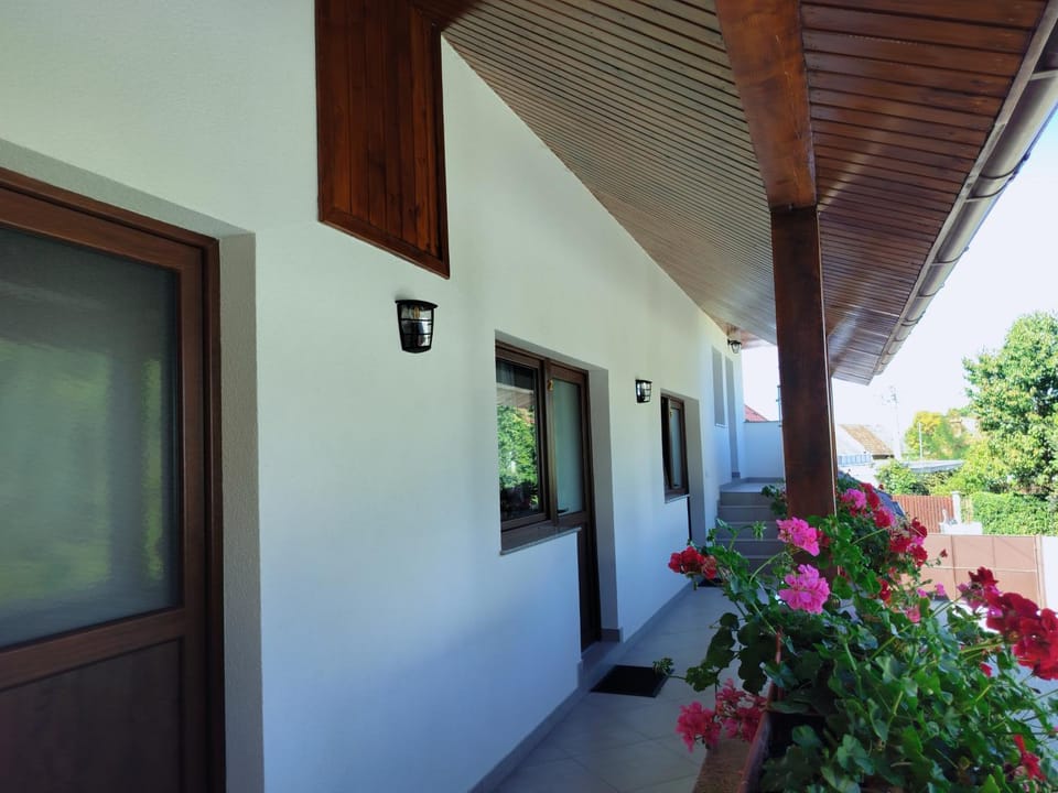 Property building, Garden view