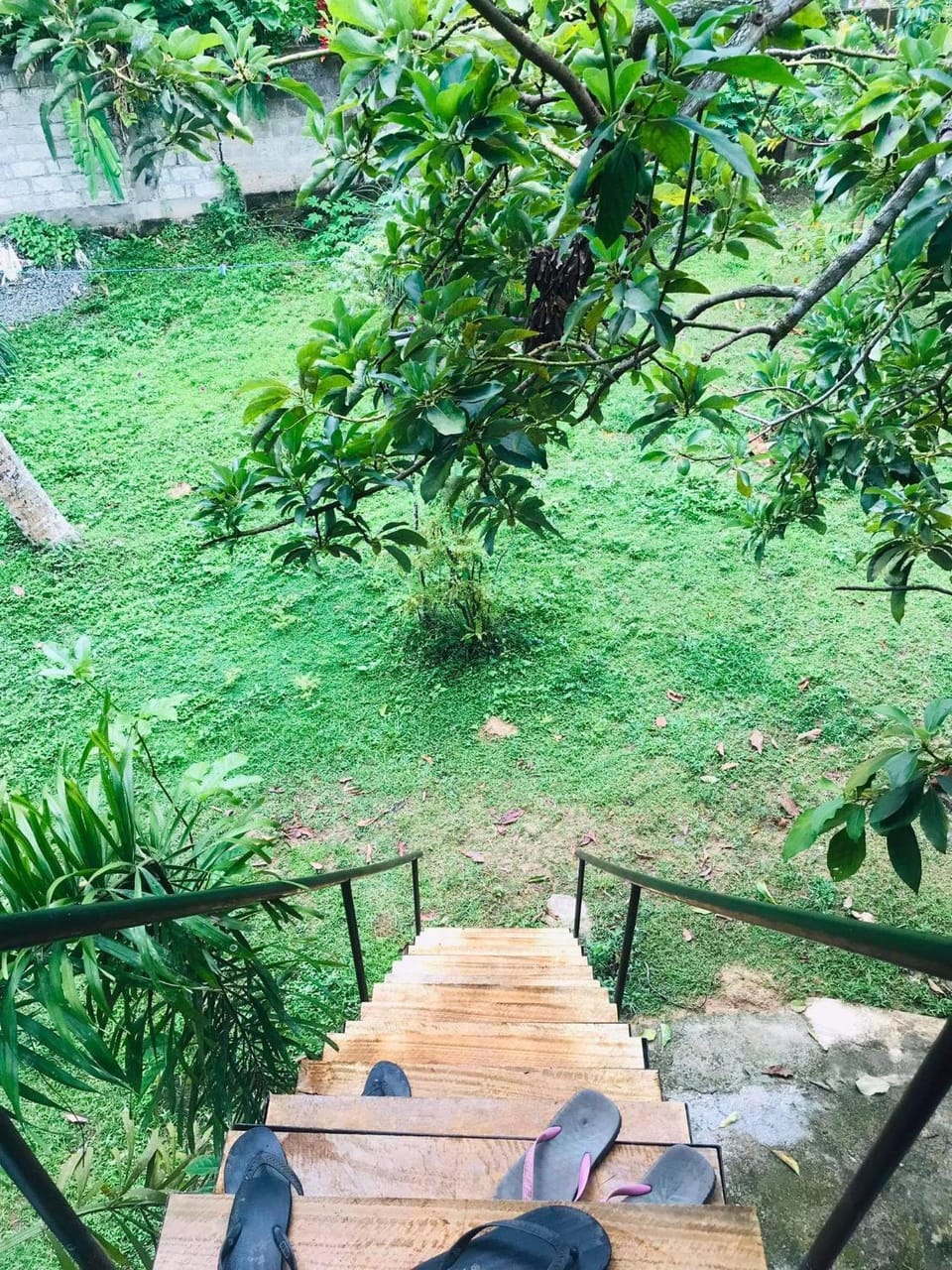Nature Inn Inn in Mirissa