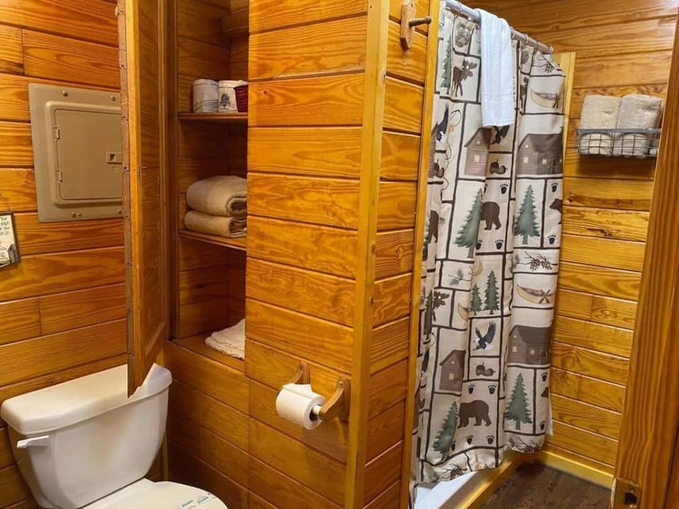 Shower, Toilet, Bathroom, towels