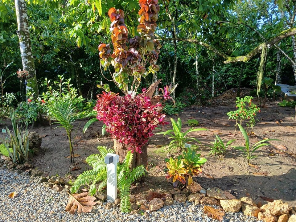 Garden, Garden