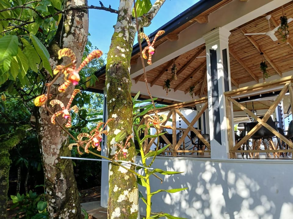 Day, Garden, Garden
