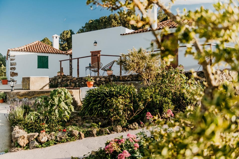 Property building, Spring, Day, Garden, Garden view