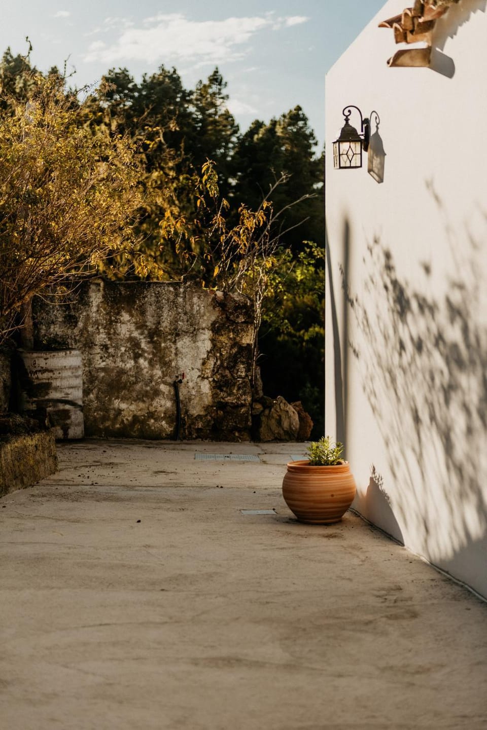 Garden view