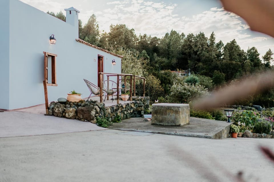 Property building, Spring, Day, Garden, Garden view