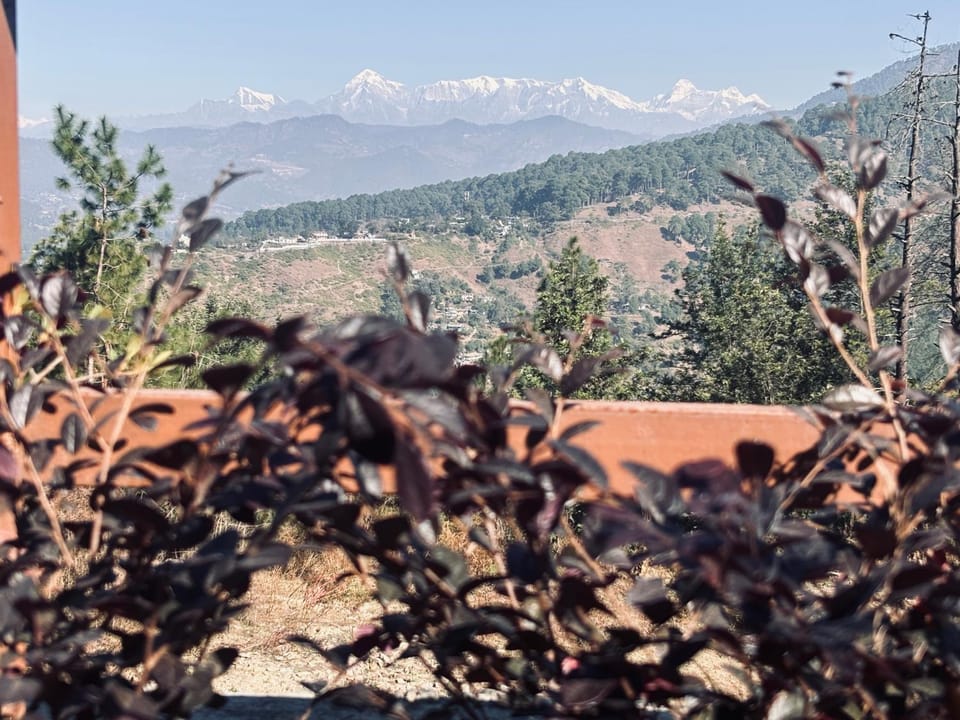 Panchwati Farms Homestay Vacation rental in Uttarakhand