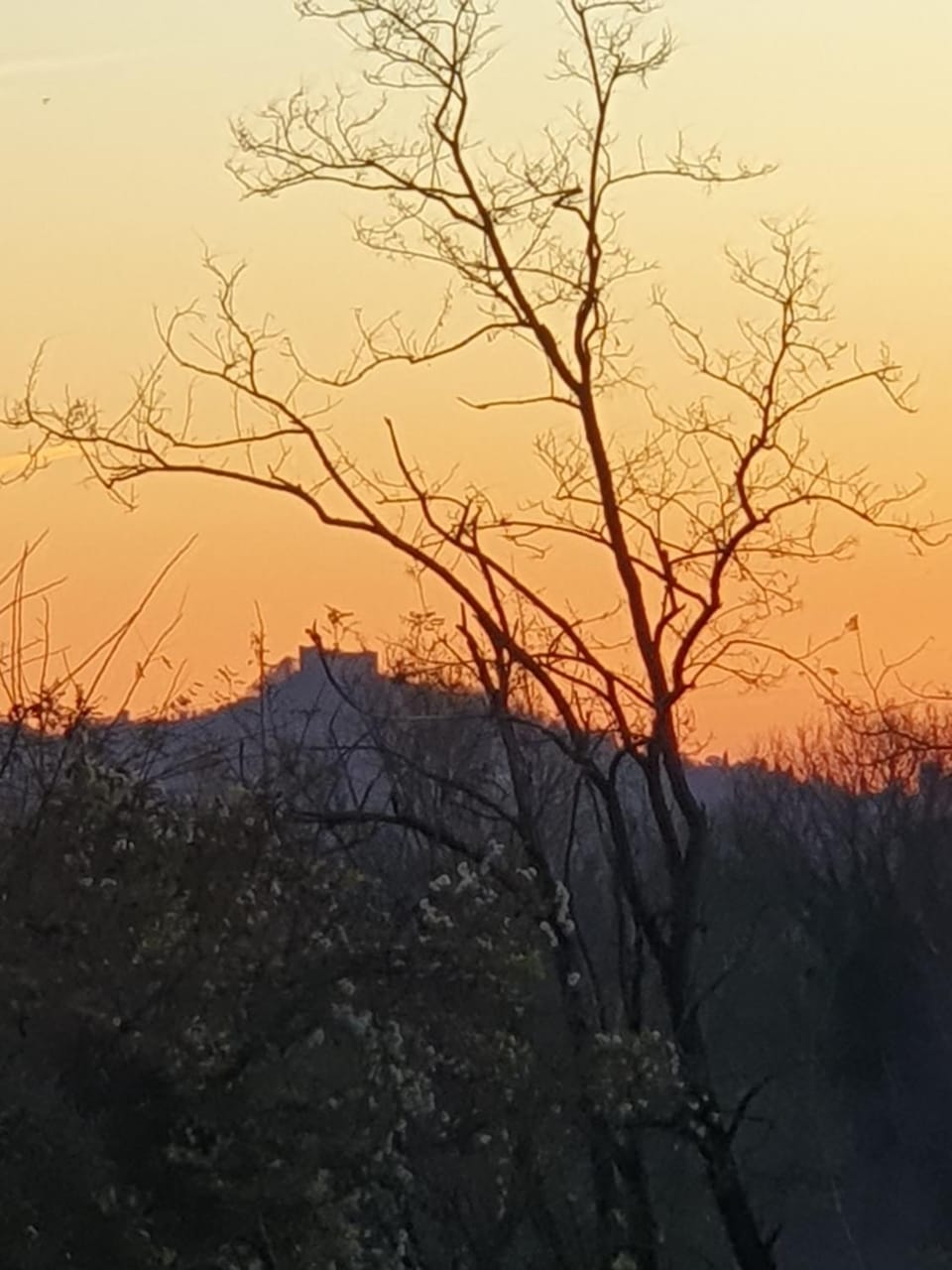 Sunrise