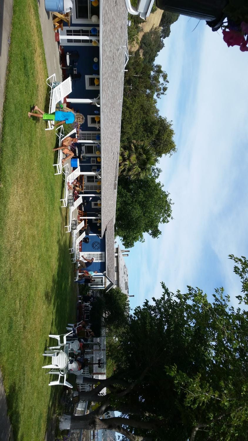 Day, Garden, group of guests