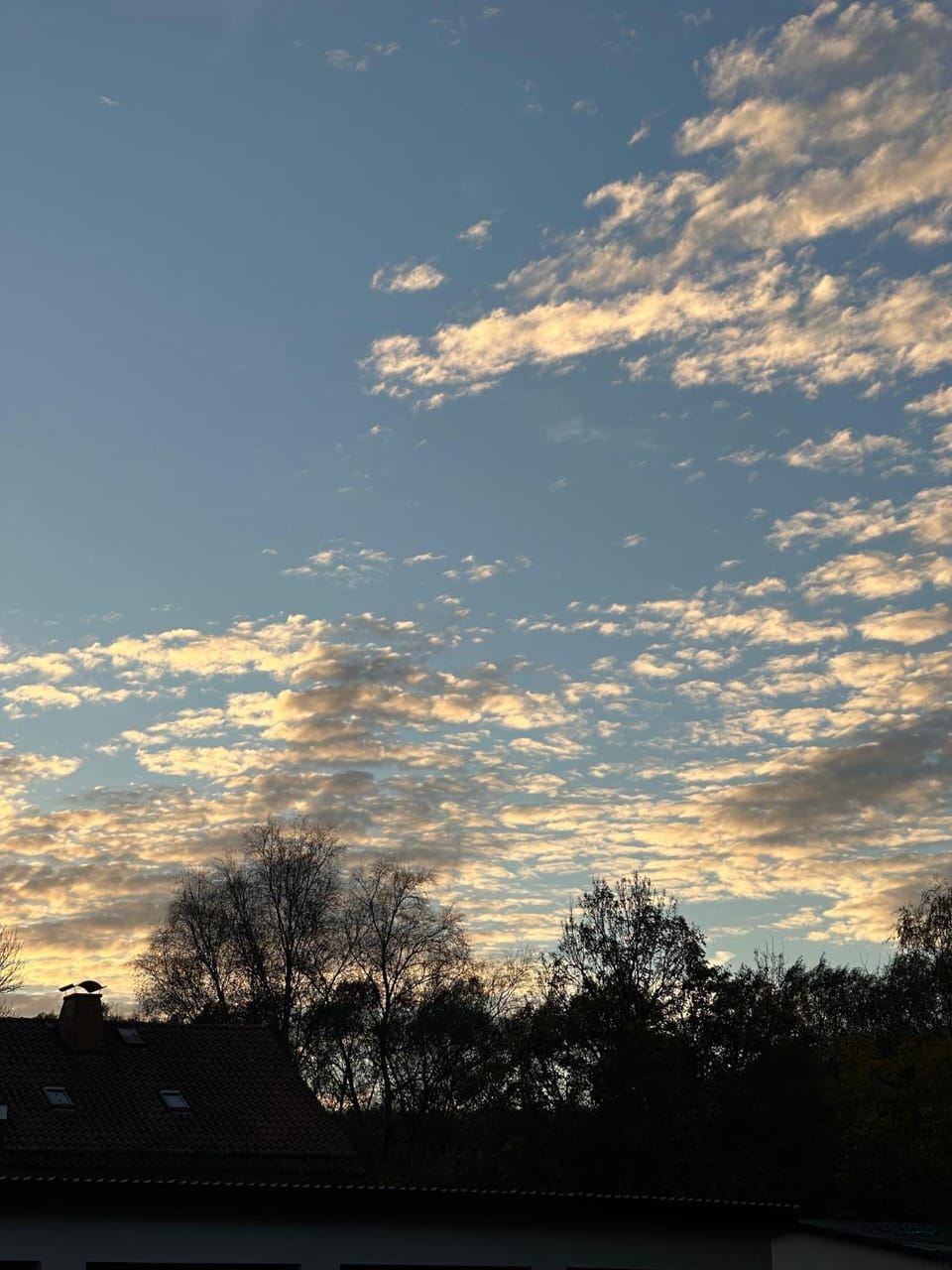 Day, Natural landscape, Sunset
