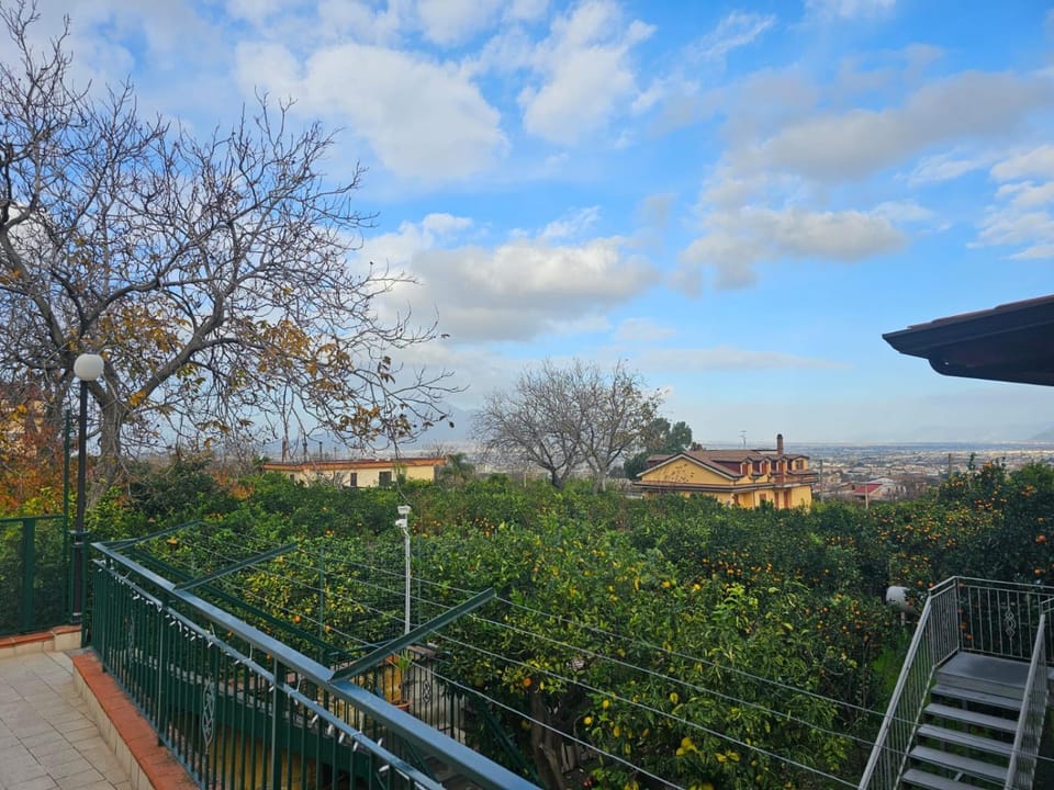 View (from property/room)