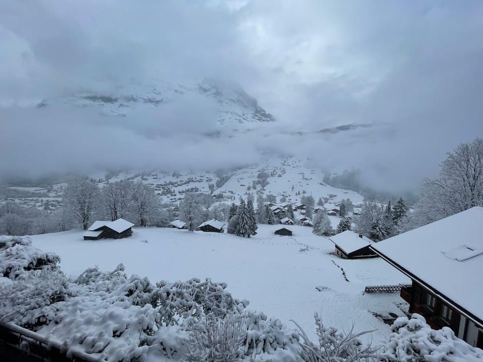 Chalet Heimat Chalet in Grindelwald