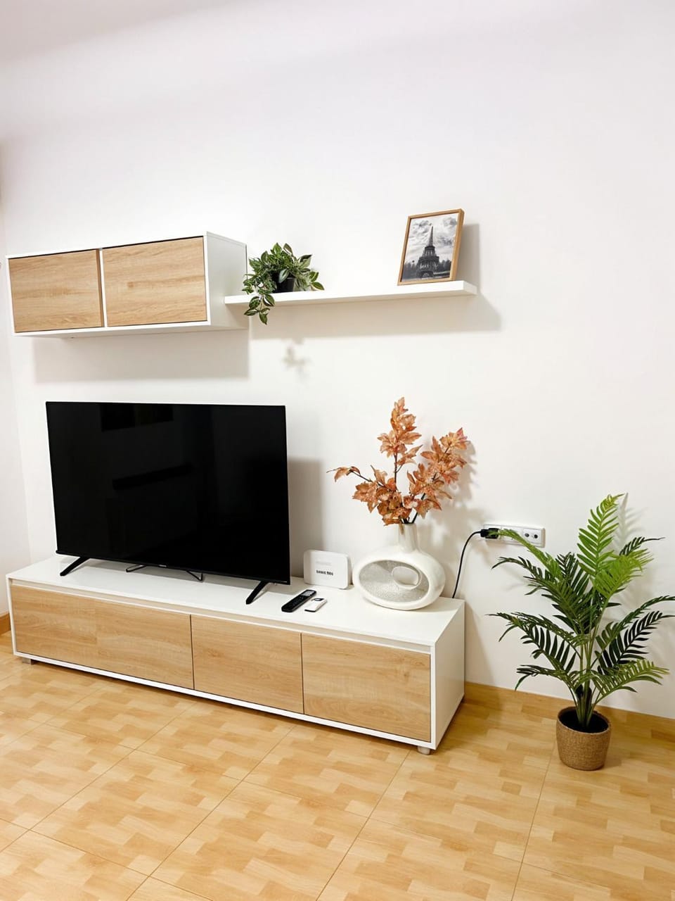 TV and multimedia